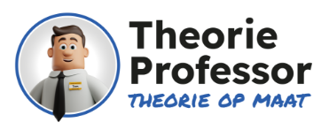 Theorie professor logo